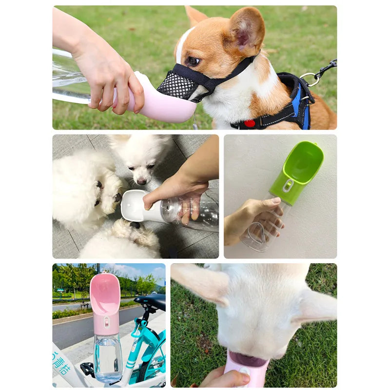 Pet Water Bottle and Feeder