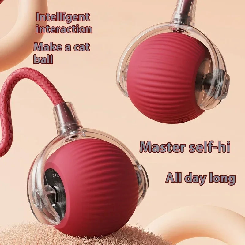 Electric Cat Ball Toys