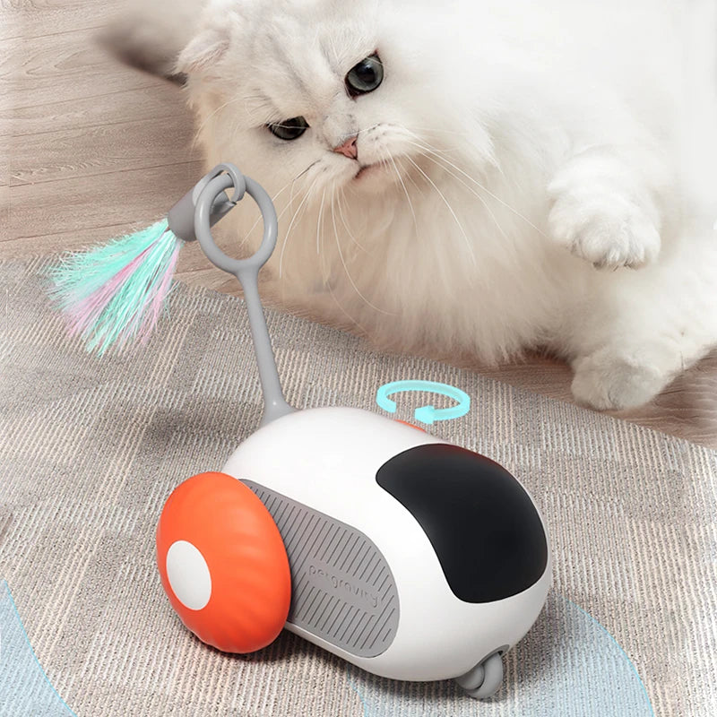 Remote Control Electric Cat Toys